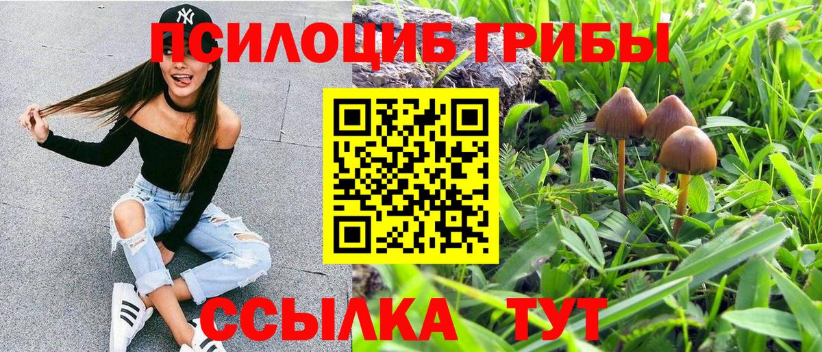 Псилоцибиновые грибы Psilocybine cubensis Гурьевск