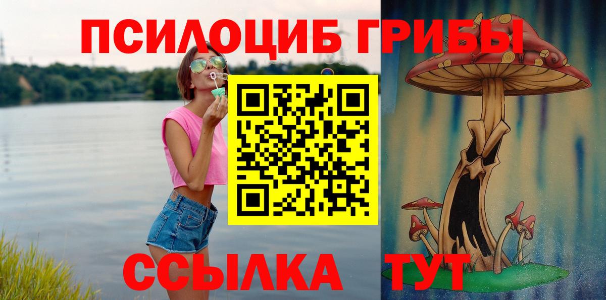 Гурьевск  Галлюциногенные грибы GOLDEN TEACHER  Вход с VPN 